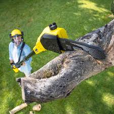 Best Commercial Tree Services  in Geneseo, IL